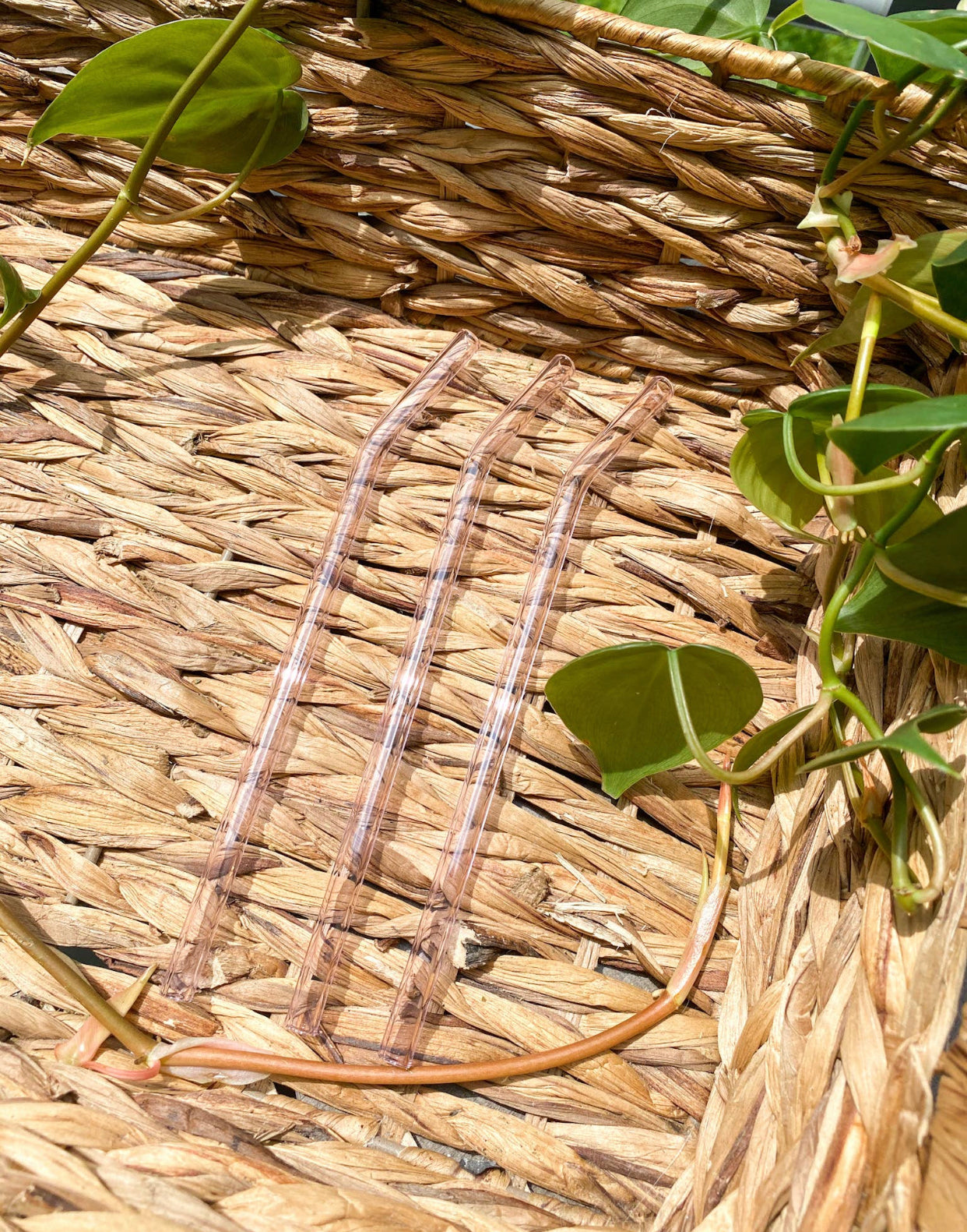 Glass Straw- Pink/ Clear